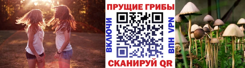 Псилоцибиновые грибы MAGIC MUSHROOMS  Вилючинск 